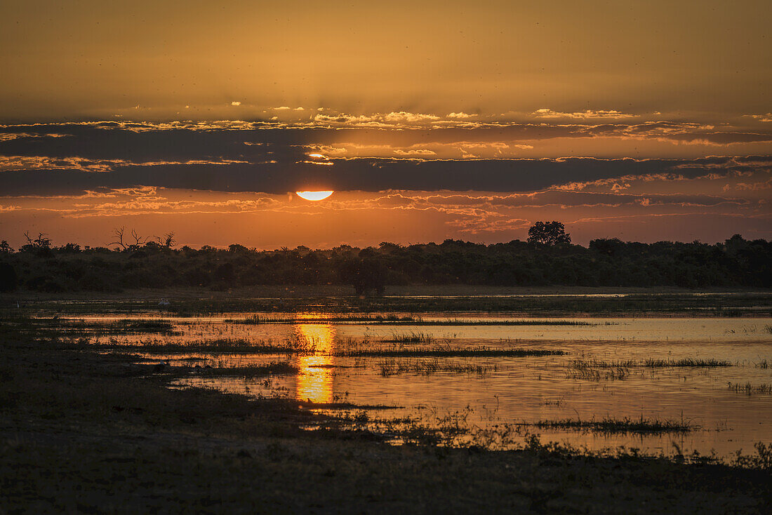 Sonnenuntergang über bewaldetem Flussufer; Botswana