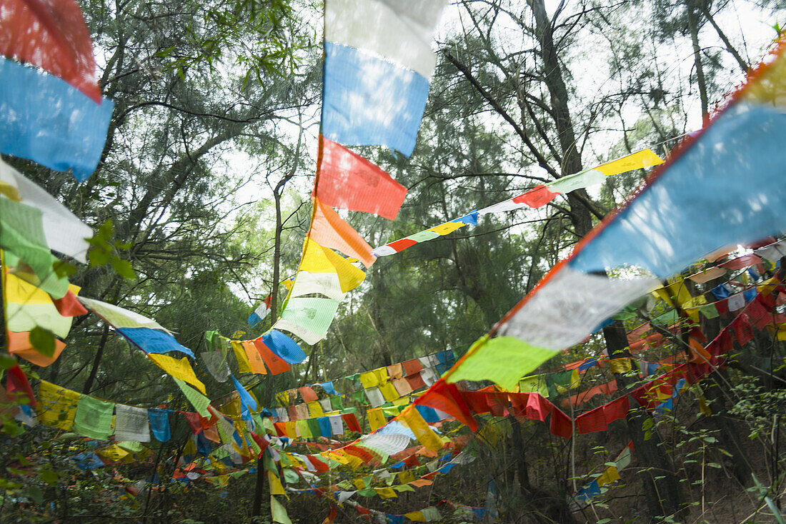 Schöne tibetische Flaggen im Wald; Xiamen, Provinz Fujian, China