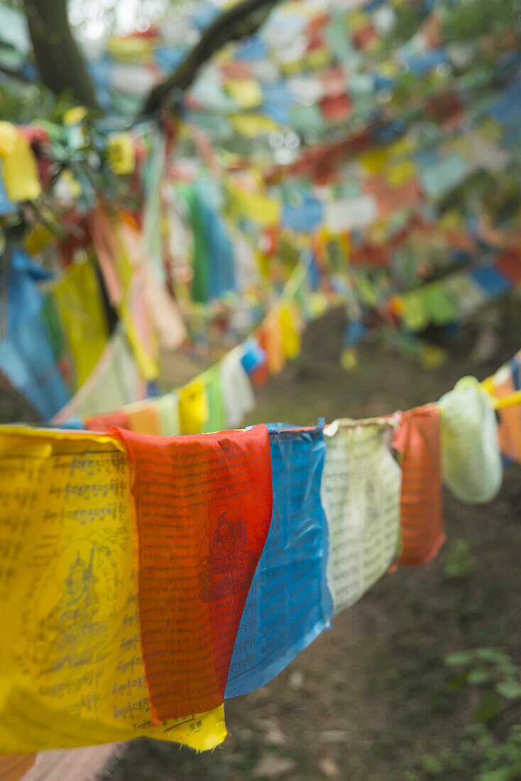 Schöne tibetische Flaggen im Wald; Xiamen, Provinz Fujian, China