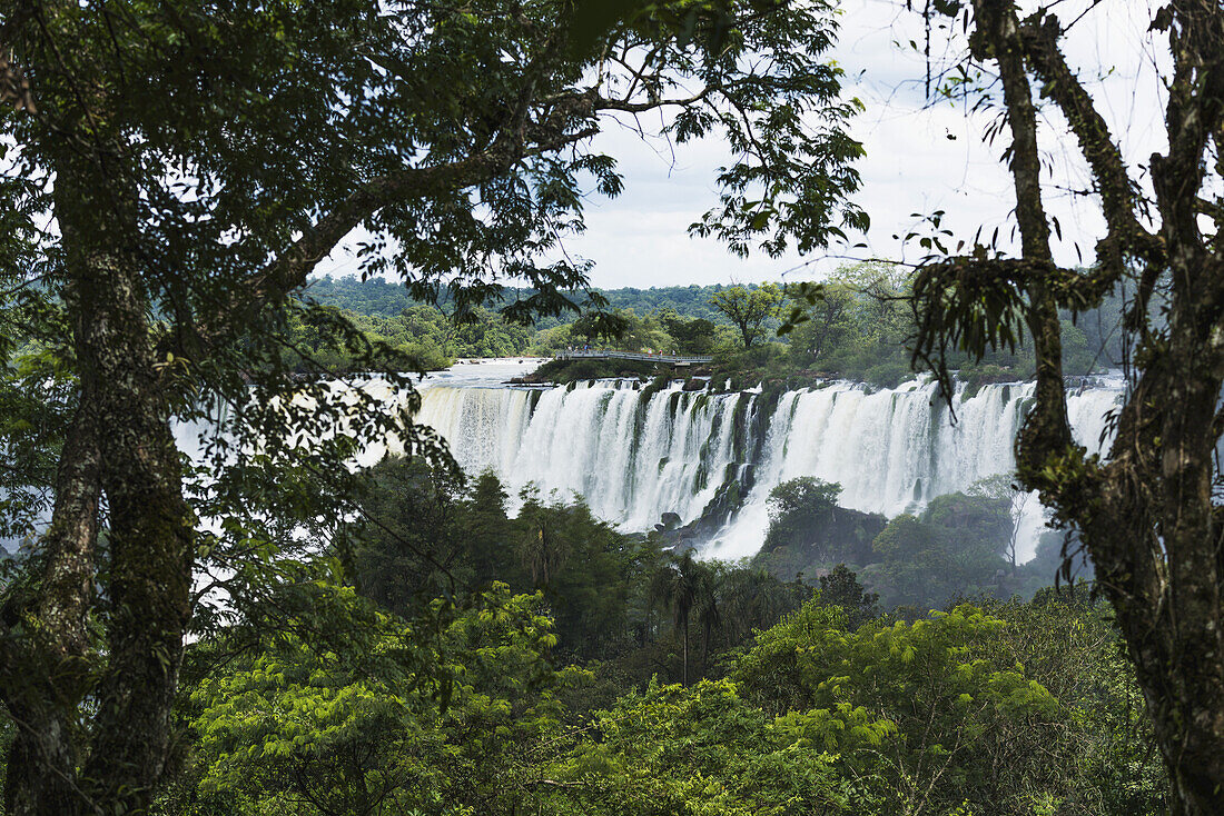 Die Iguazu-Wasserfälle zwischen den Ästen der Bäume gesehen; Parana, Brasilien