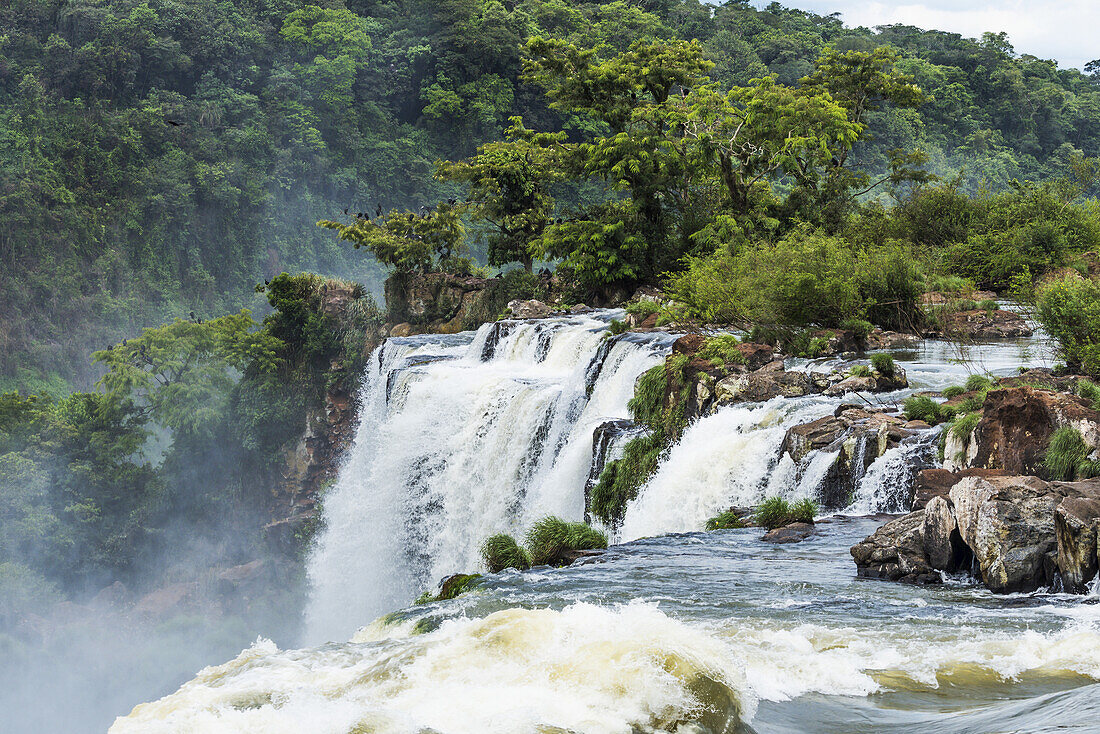 Bäume und Felsen neben den Iguazu-Fällen; Parana, Brasilien