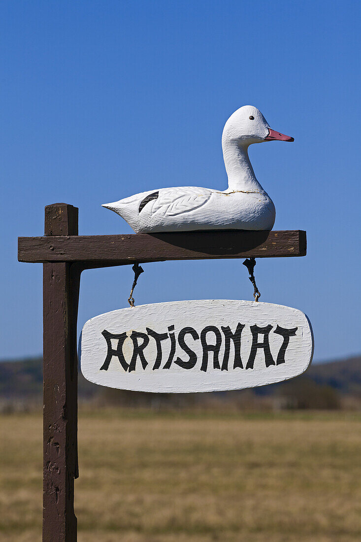 Geschnitzte hölzerne Ente auf einem Schild; Quebec, Kanada
