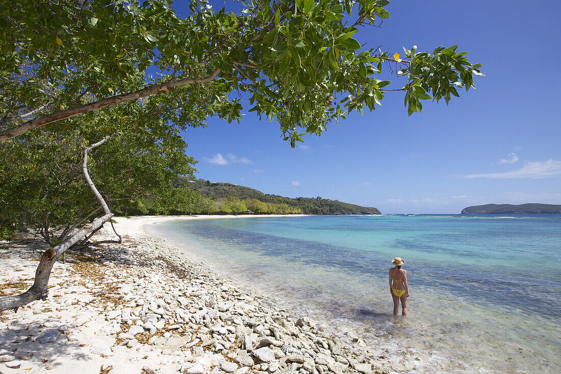Woman In Bikini Paddling In Calm Waters Of A White Sand Beach