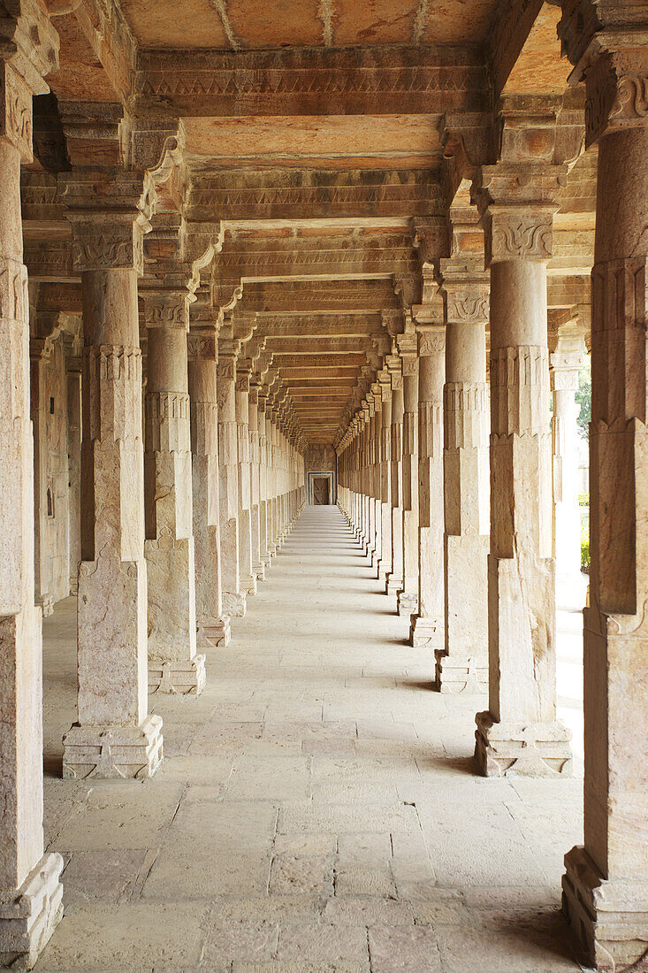 Palace Architecture In The Royal Enclave Of The Deserted City Of Mandu