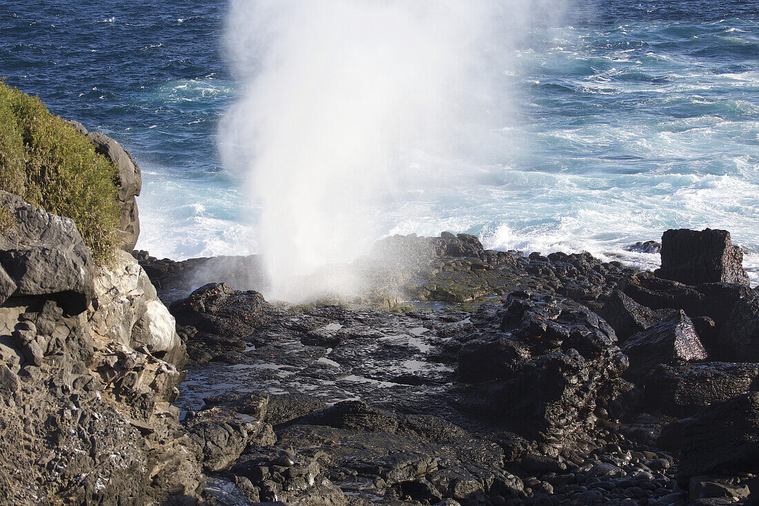 Sea Spray Emerging From A Blow Hole In Rocky Shoreline Of Galapagos Island