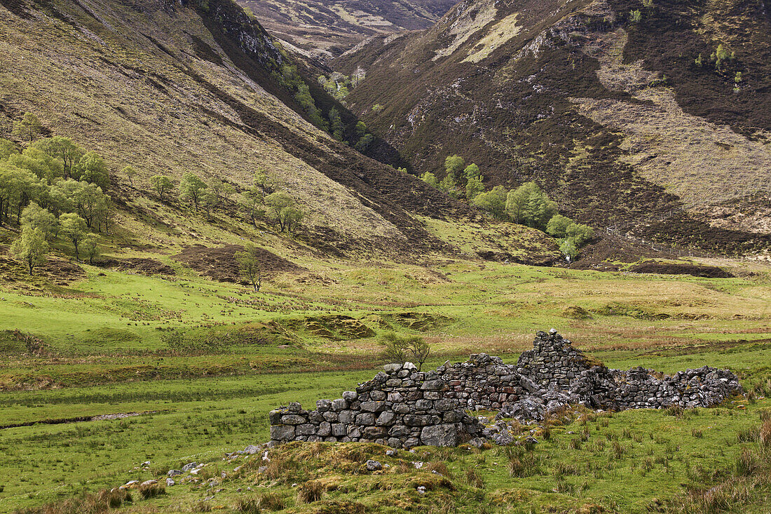 Ruinen eines verlassenen Gehöfts in schottischer Hochlandlandschaft