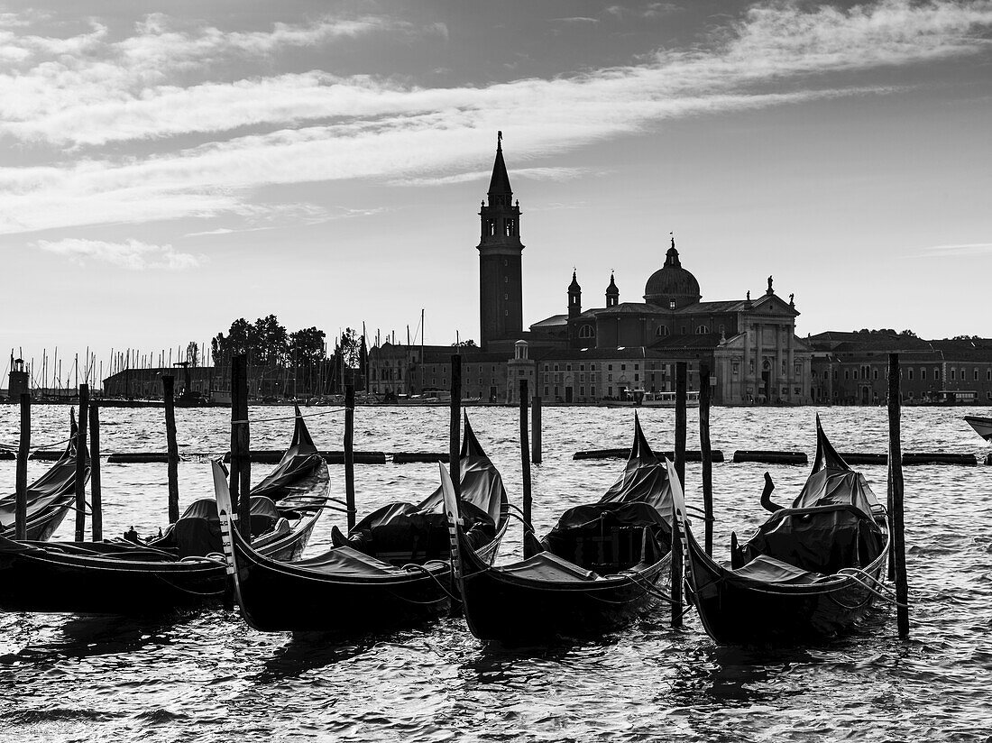 Gondeln, die in einer Reihe im Wasser festgemacht sind, mit dem Markusplatz in der Ferne; Venedig, Italien