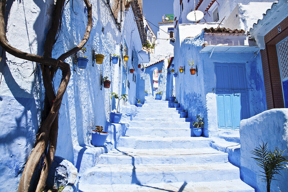 Eine Treppe zwischen Reihen weiß getünchter und blau gestrichener Häuser; Chefchaouen, Marokko
