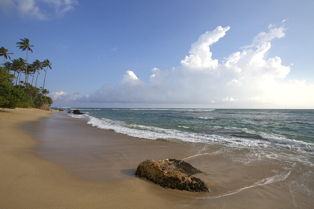 Goldener Sandstrand, gesäumt von Palmen