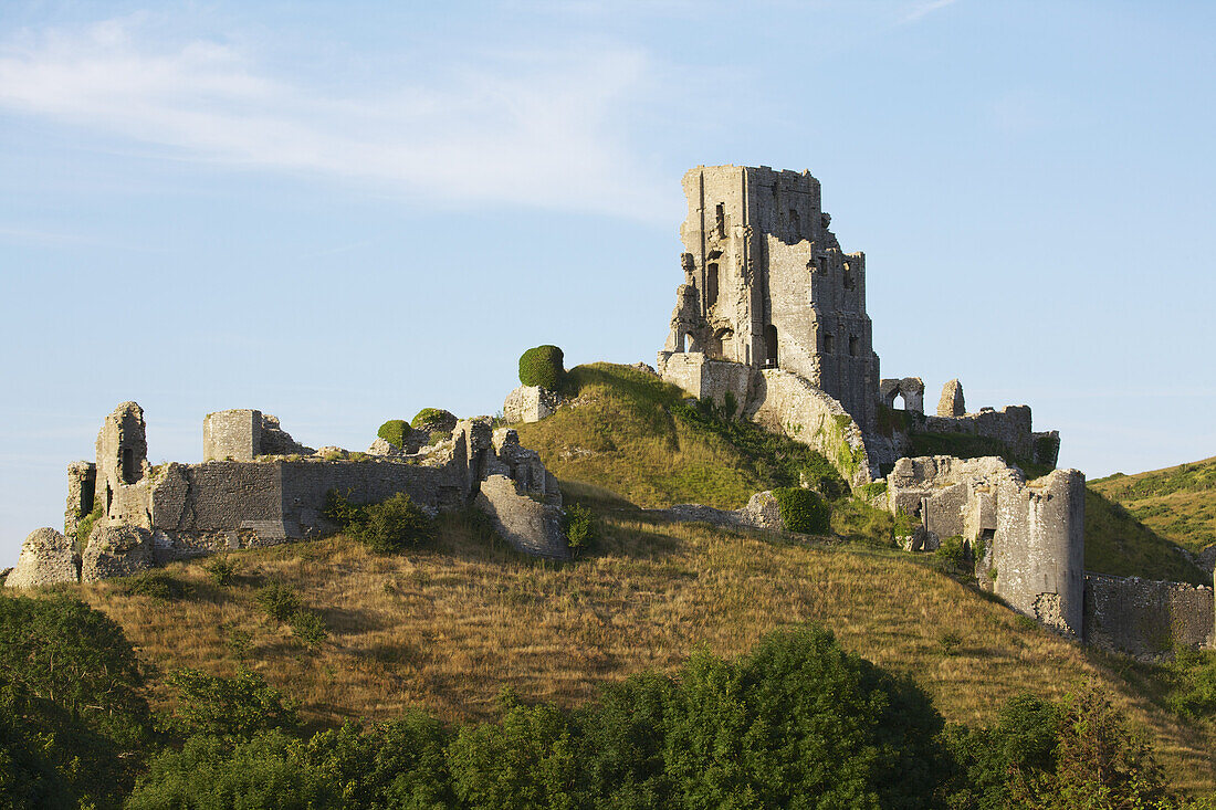 Eine alte Burgruine auf einem grünen Hügel