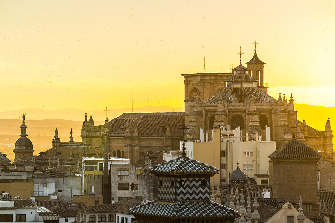 Schöner Blick auf die Kathedrale von Granada bei Sonnenuntergang; Granada, Andalusien, Spanien
