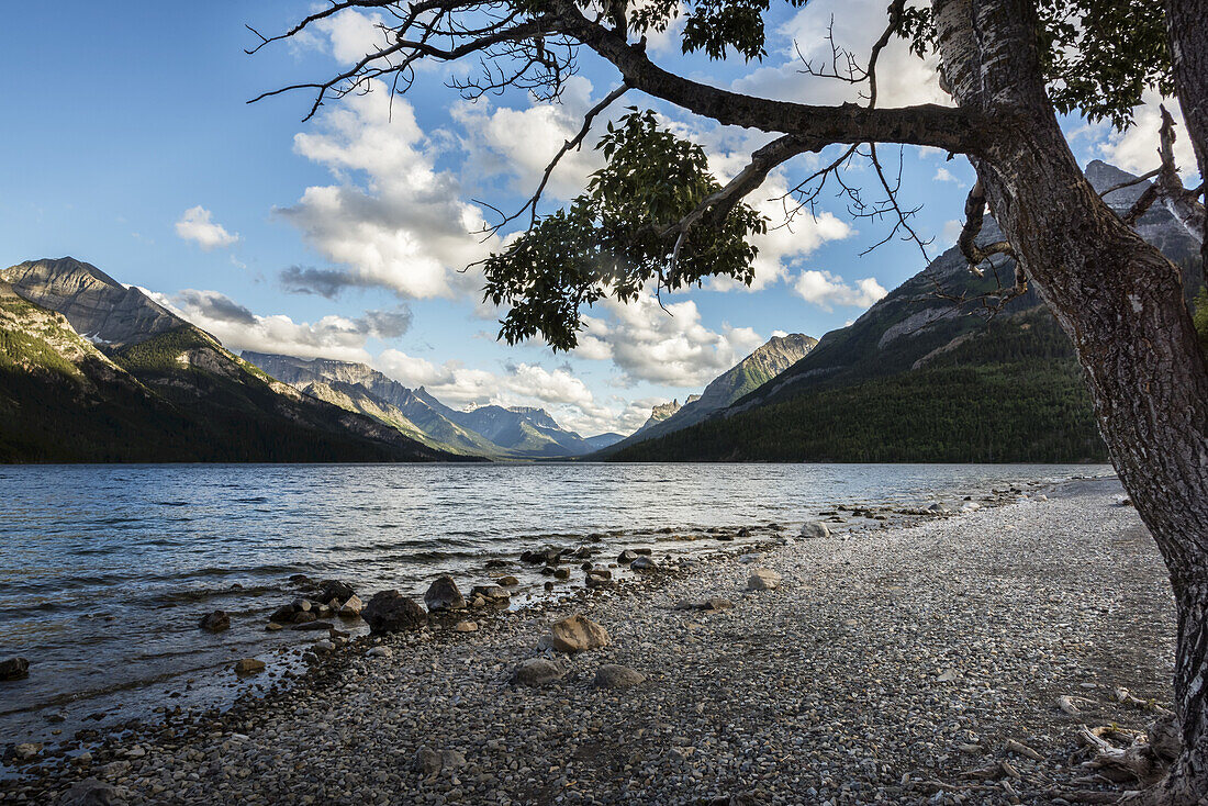 Waterton Lakes National Park; Alberta, Canada