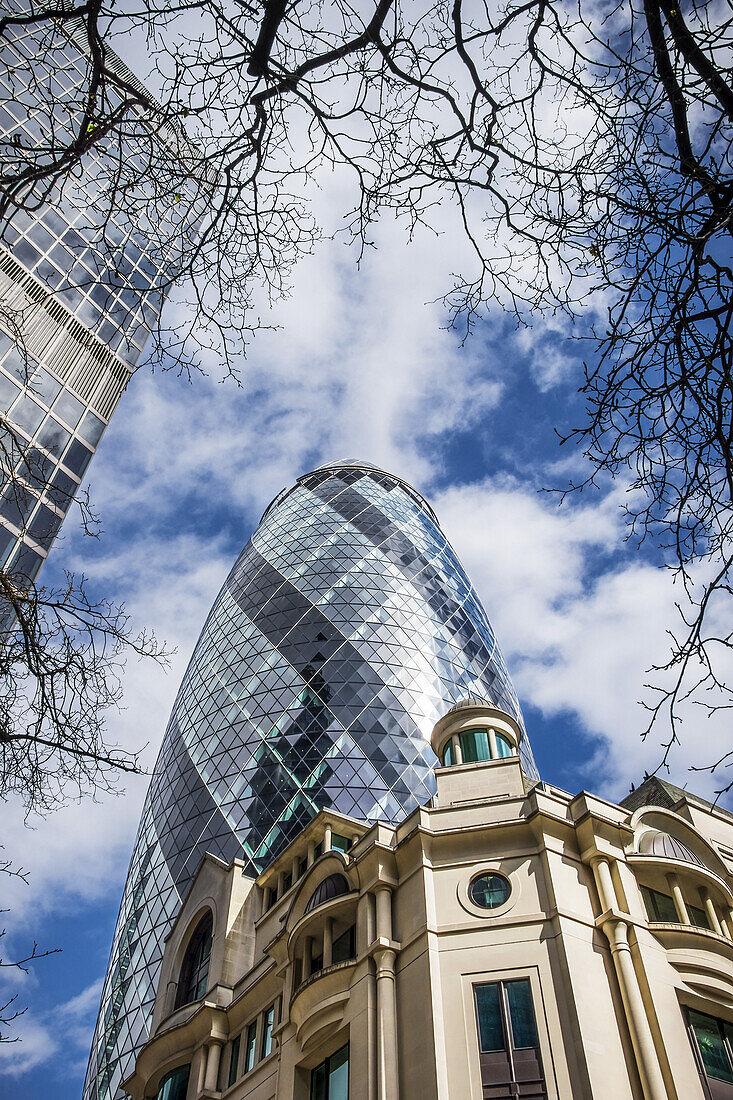 30 St Mary Axe und die Universität Bpp, eingerahmt von Baumzweigen vor einem blauen und bewölkten Himmel; London, England