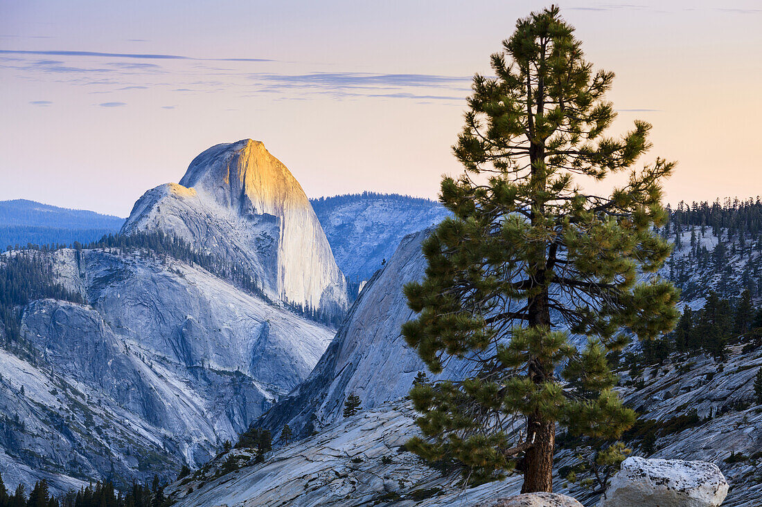 Half Dome Seen From Olmsted Point, Yosemite National Park; California, United States Of America