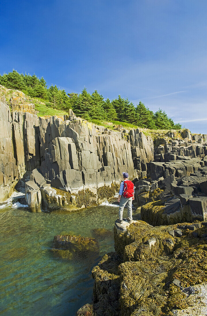 Hiker Along Basalt Rock Cliffs, Brier Island, Bay Of Fundy; Nova Scotia, Canada