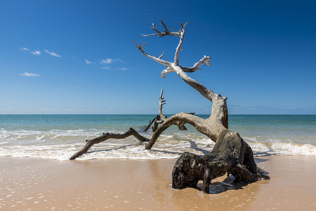 Benguerra Island, The Second Largest Island In The Bazaruto Archipelago; Mozambique