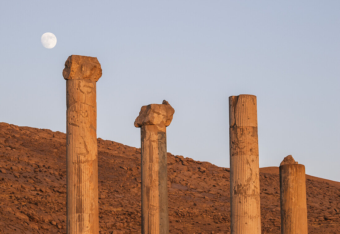 Säulen der Apadana oder Audienzhalle von Dareios I. (522-486), Persepolis; Provinz Fars, Iran
