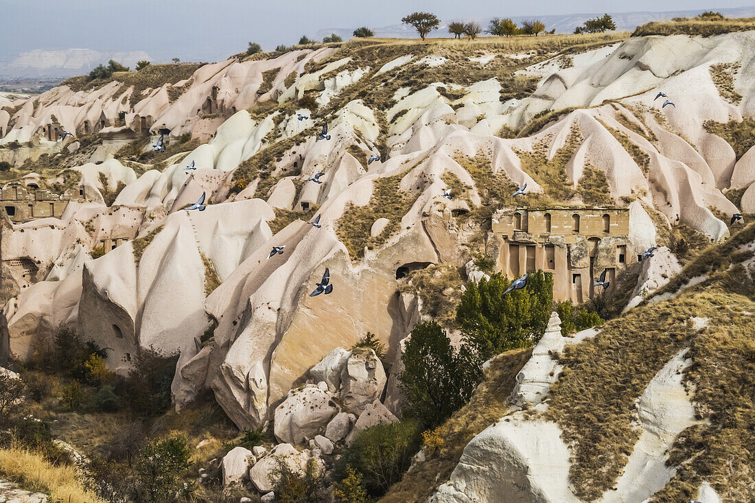 Pigeons Flying Across The Pigeon Valley; Uchisar, Cappadocia, Nevsehir, Turkey