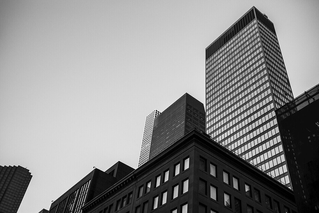 Black And White Low Angle View Of Skyscrapers And Office Buildings; New York City, New York, United States Of America
