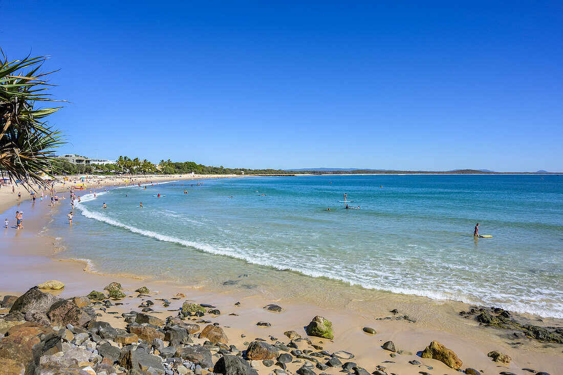 Sunbathers and swimmers at the beach, Sunshine Coast; Noosa Heads, Queensland, Australia