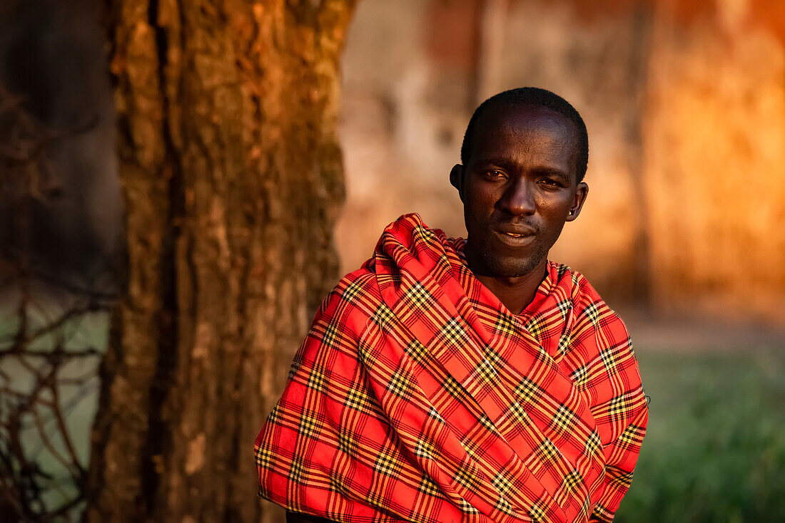 Close-up portrait of Masai man in shuka by tree; Tanzania
