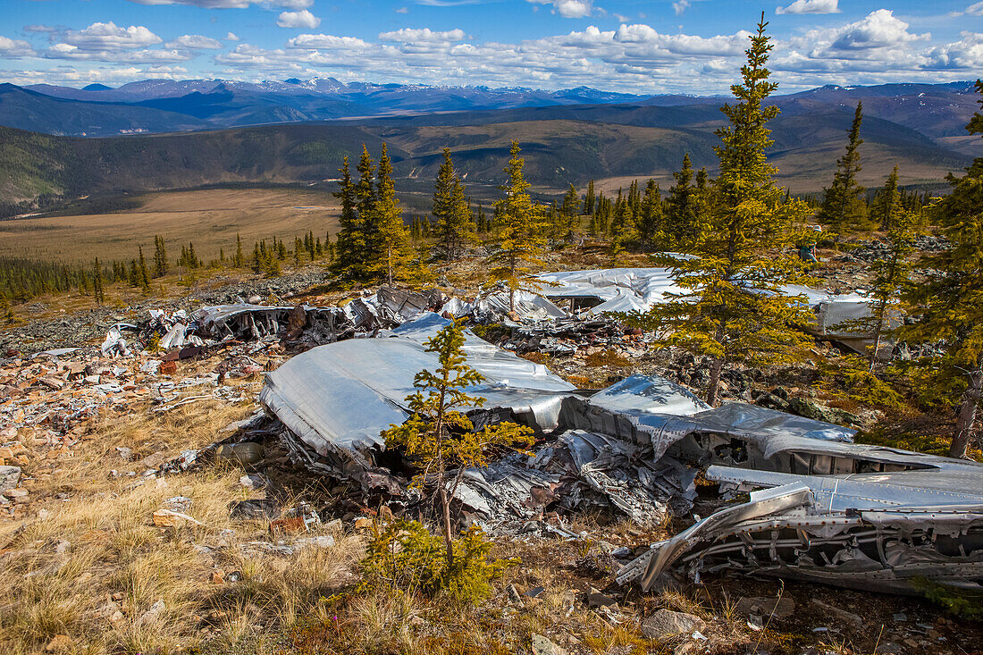 The land reclaiming a 1943 B-24 Liberator crash in the Yukon-Charley Rivers National Preserve, Wild and Scenic River, Charley River; Alaska, United States of America