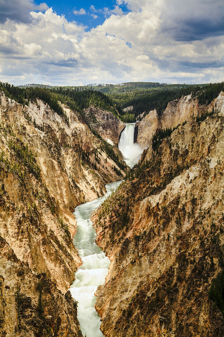 Grand Canyon und Lower Yellowstone Falls, Yellowstone National Park; Wyoming, Vereinigte Staaten Von Amerika