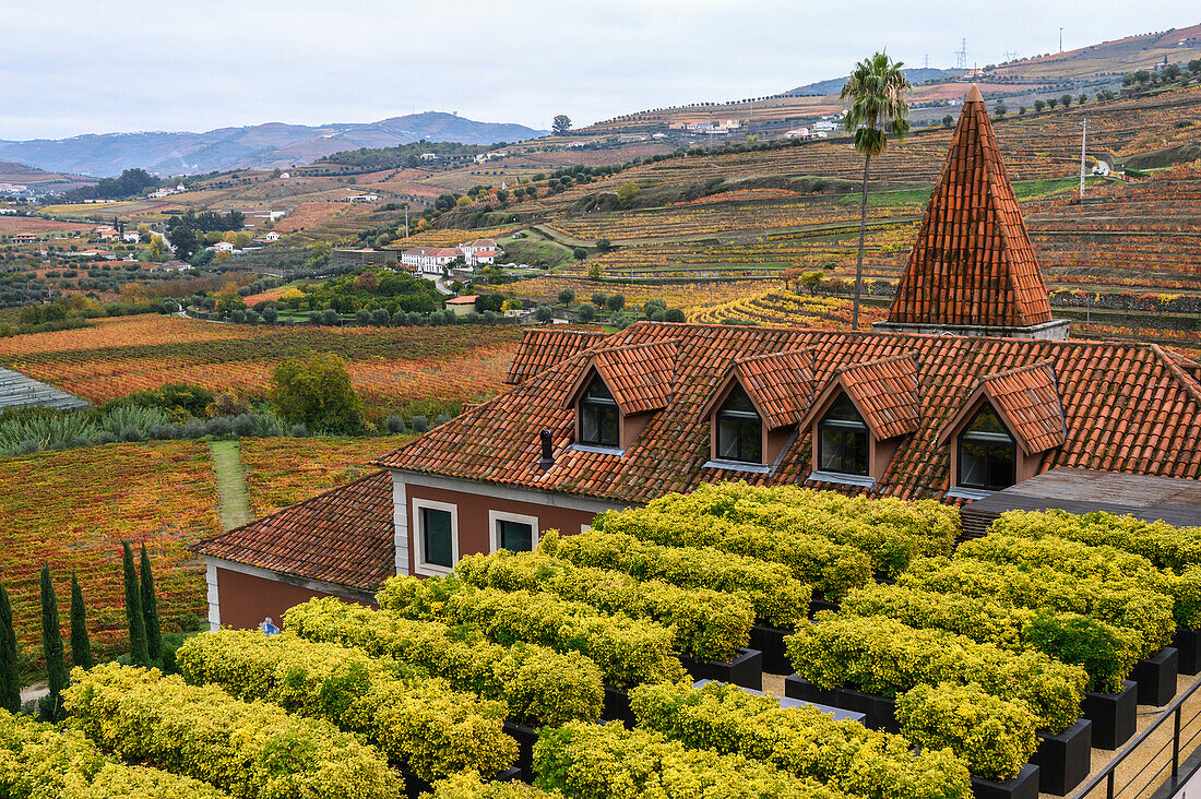 Ackerland und Pflanzen in Pflanzkübeln vor einem Haus, Douro-Tal; Portugal