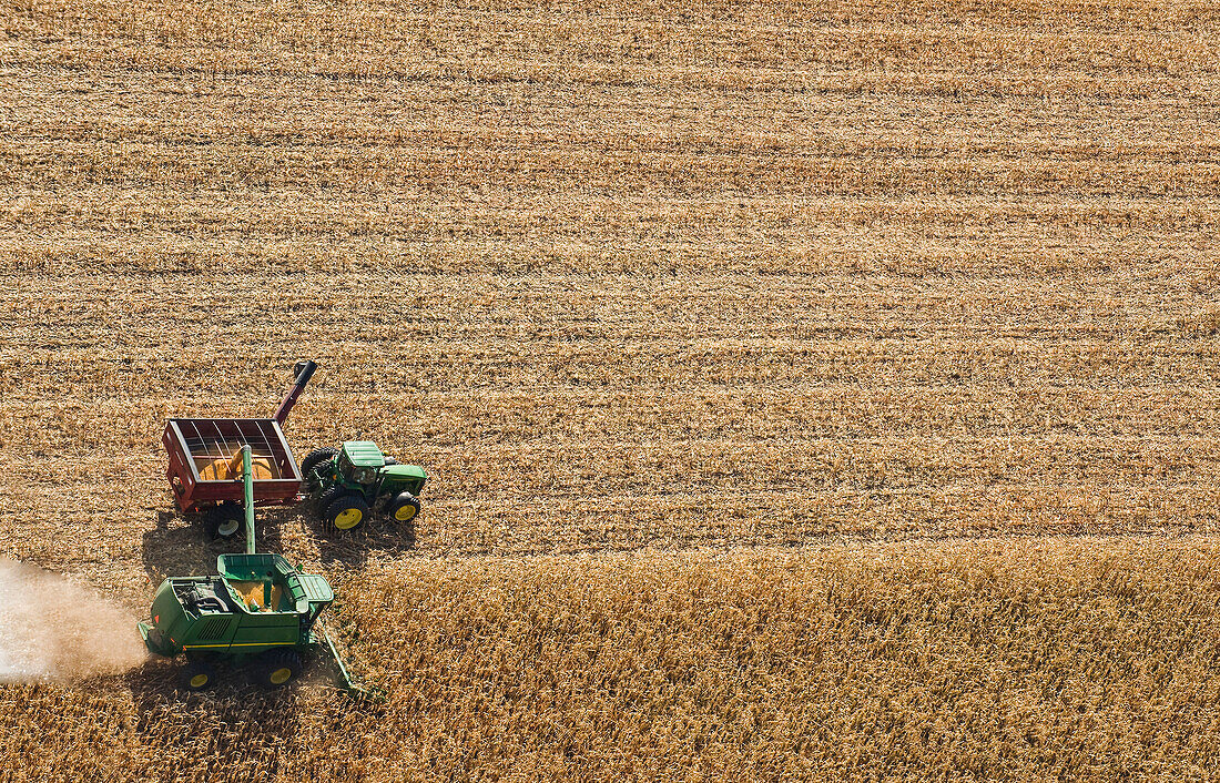 Ein Mähdrescher entlädt während der Ernte Sojabohnen in einen Getreidewagen, in der Nähe von St. Adolphe; Manitoba, Kanada