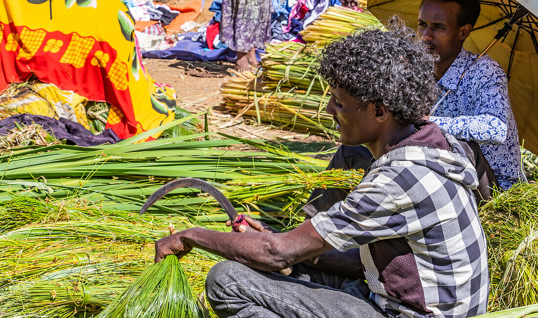 Äthiopischer Mann verkauft Gras auf dem Markt; Bahir Dar, Amhara-Region, Äthiopien