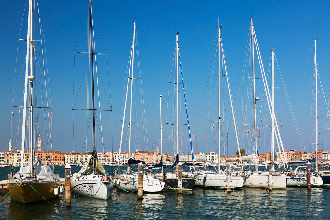 Sailboats moored in marina on Island of San Giorgio Maggiore; San Giorgio Maggiore, Venice, Veneto, Italy