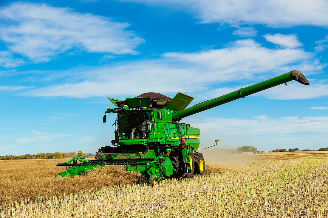 A farmer driving a combine with a full load ready to transfer with the auger arm extended during a Canola harvest; Legal, Alberta, Canada