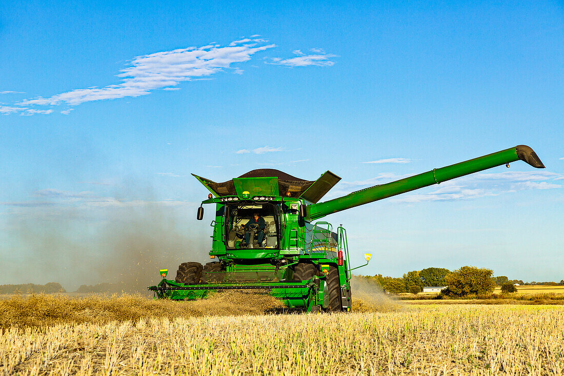 A farmer driving a combine with a full load ready to transfer with the auger arm extended during a Canola harvest; Legal, Alberta, Canada