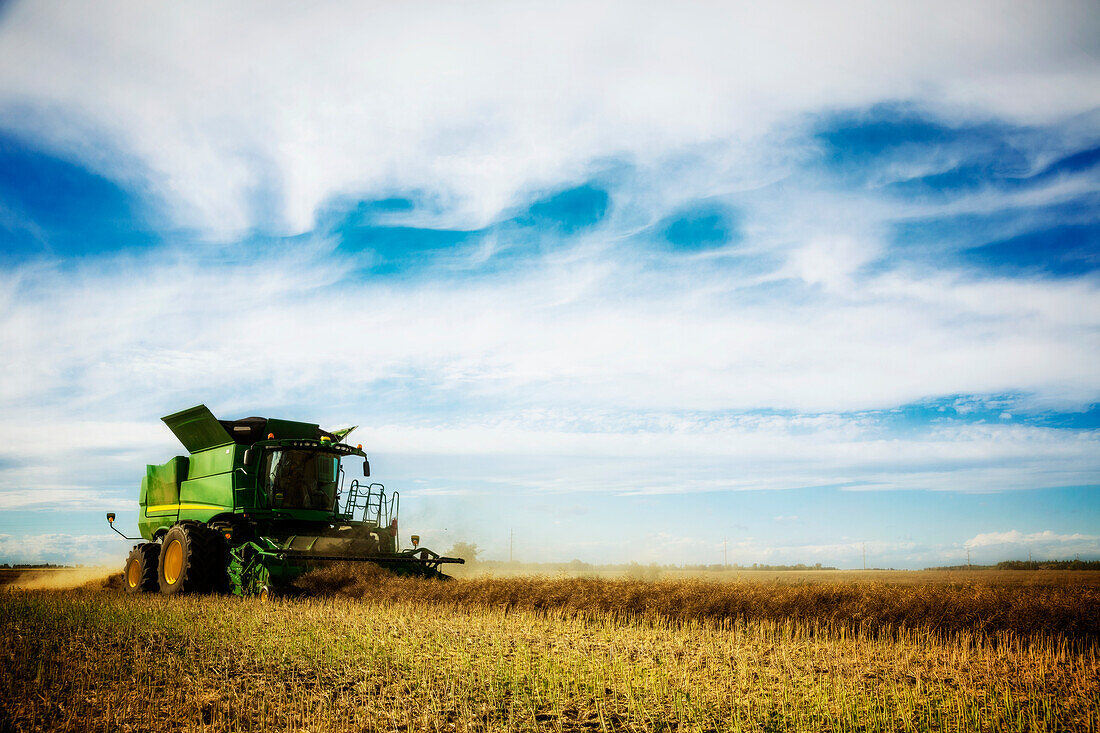Side view of a farmer driving a combine during a canola harvest; Legal, Alberta, Canada