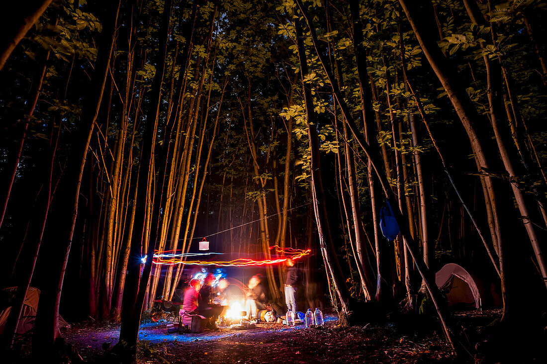 Friends playing with lights in a forest at night; Meopham, Kent, England