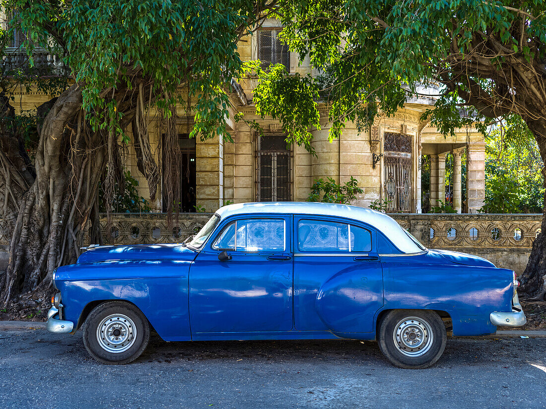 Blauer Oldtimer, geparkt auf der Straße vor einem Haus; Havanna, Kuba