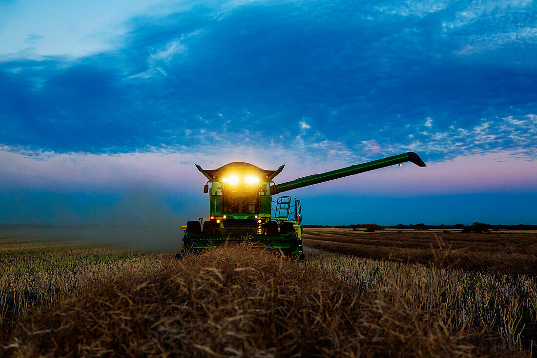 A fully loaded combine with its lights on arm out for transer, harvesting canola after sunset; Legal, Alberta, Canada
