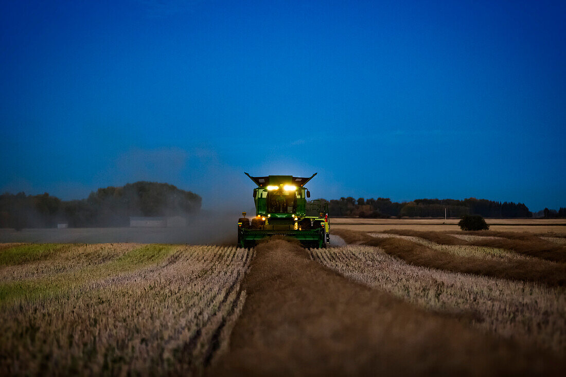 A combine with its lights on harvesting canola after sunset; Legal, Alberta, Canada