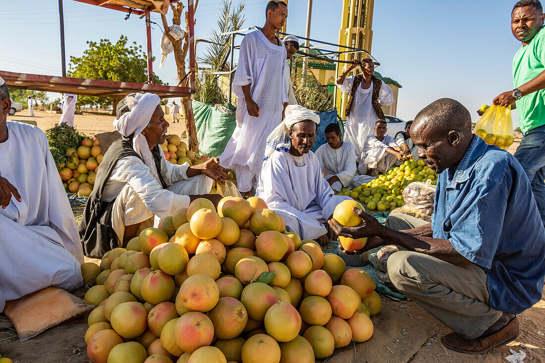 Verkäufer von Orangen und Grapefruits; Abu Dawm, Nordstaat, Sudan