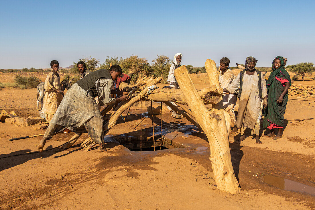 Nomads and their animals getting water from the old water well built in 1905; Naqa, Northern State, Sudan