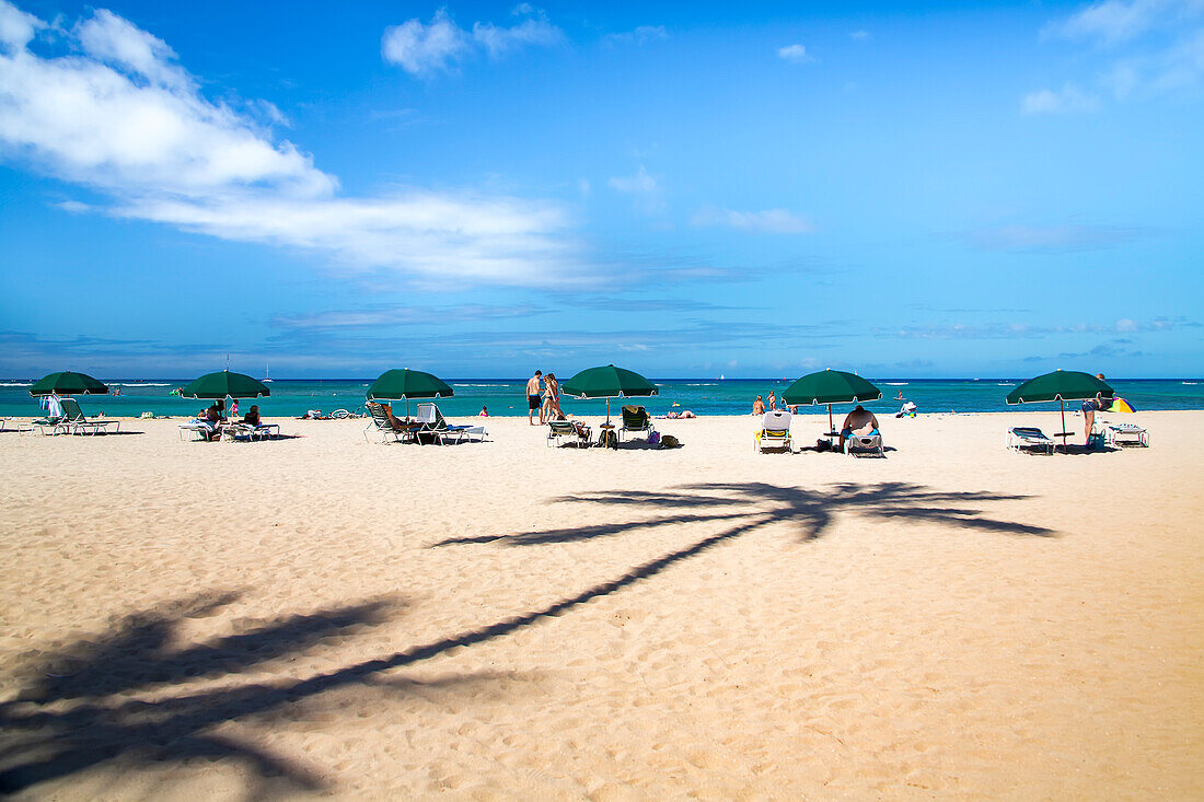 Sonnenschirme, Touristen und der Schatten einer Palme am Waikiki Beach; Oahu, Hawaii, Vereinigte Staaten von Amerika