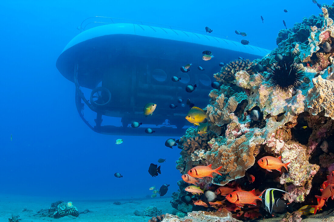The Atlantis submarine cruises by a reef off the coast of Maui; Maui, Hawaii, United States of America