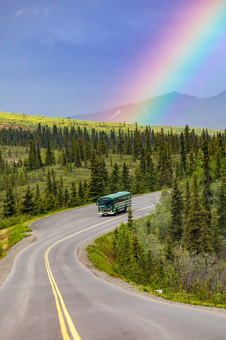 Ein Reisebus fährt auf der Denali Park Road unter einem Regenbogen im Denali National Park and Preserve im Inneren Alaskas; Alaska, Vereinigte Staaten von Amerika