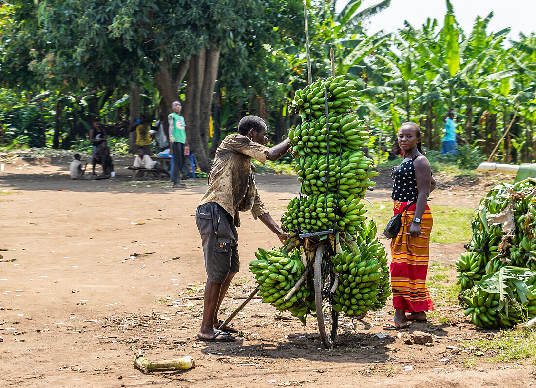 Bananenverkäufer am Straßenrand; Kadindimo, Westliche Region, Uganda