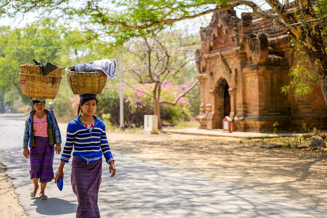 Frauen gehen mit Lasten auf dem Kopf; Bagan, Region Mandalay, Myanmar