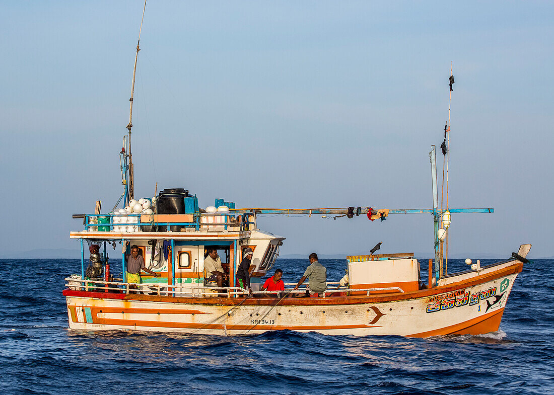 Sri Lankische Fischer ziehen ihr Netz über die Bordwand ihres Bootes auf dem offenen Meer; Sri Lanka