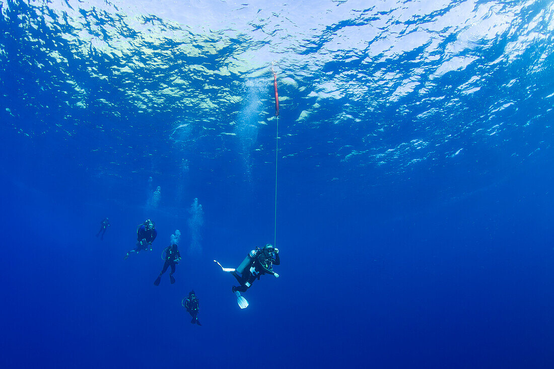 Taucher, die für eine Dekompressionspause vor dem Auftauchen in 15 Fuß Tiefe hängen. Der Taucher an der Spitze hat einen Sicherheitsschwimmer losgelassen, um den Booten über ihm seine Position zu markieren; Maui, Hawaii, Vereinigte Staaten von Amerika