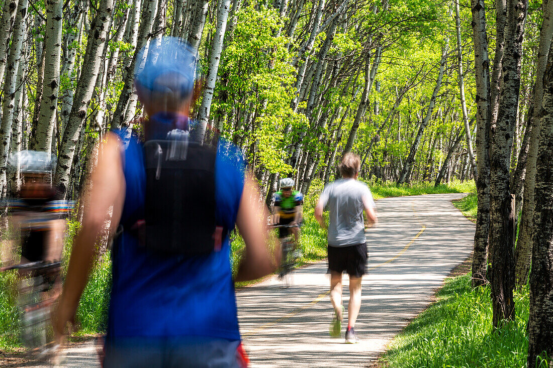 Cyclist  and runners on a trail framed by an aspen forest; Calgary, Alberta, Canada