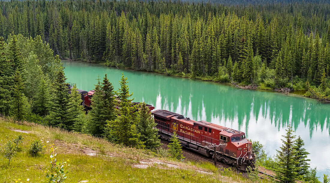 Train travels along the Bow River in the Bow Valley Parkway, Banff National Park; Improvement District No. 9, Alberta, Canada
