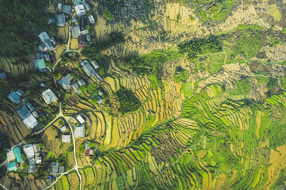 Drohnenansicht von Reisterrassen; Provinz Ha Giang, Vietnam
